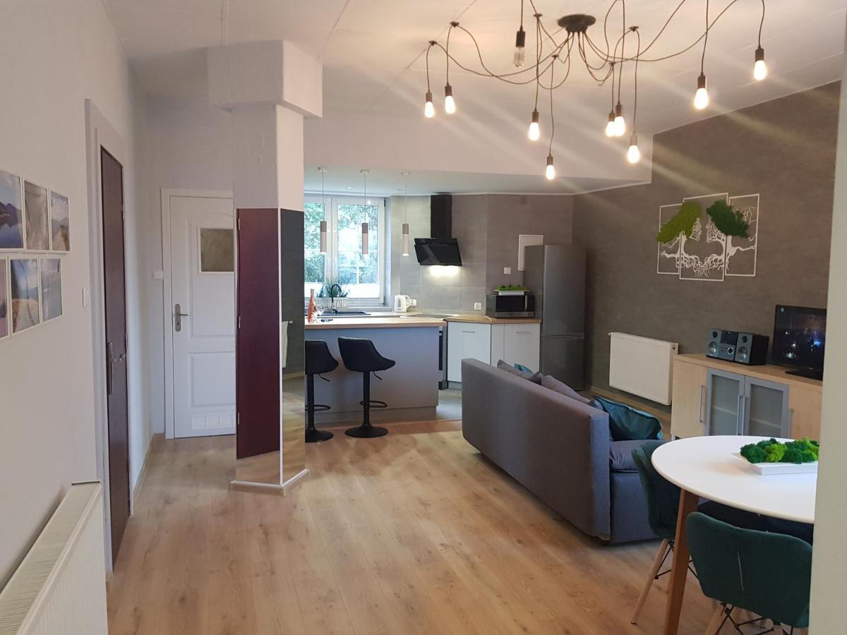Pietrzykowice  Apartamenty Paszkowka מראה חיצוני תמונה