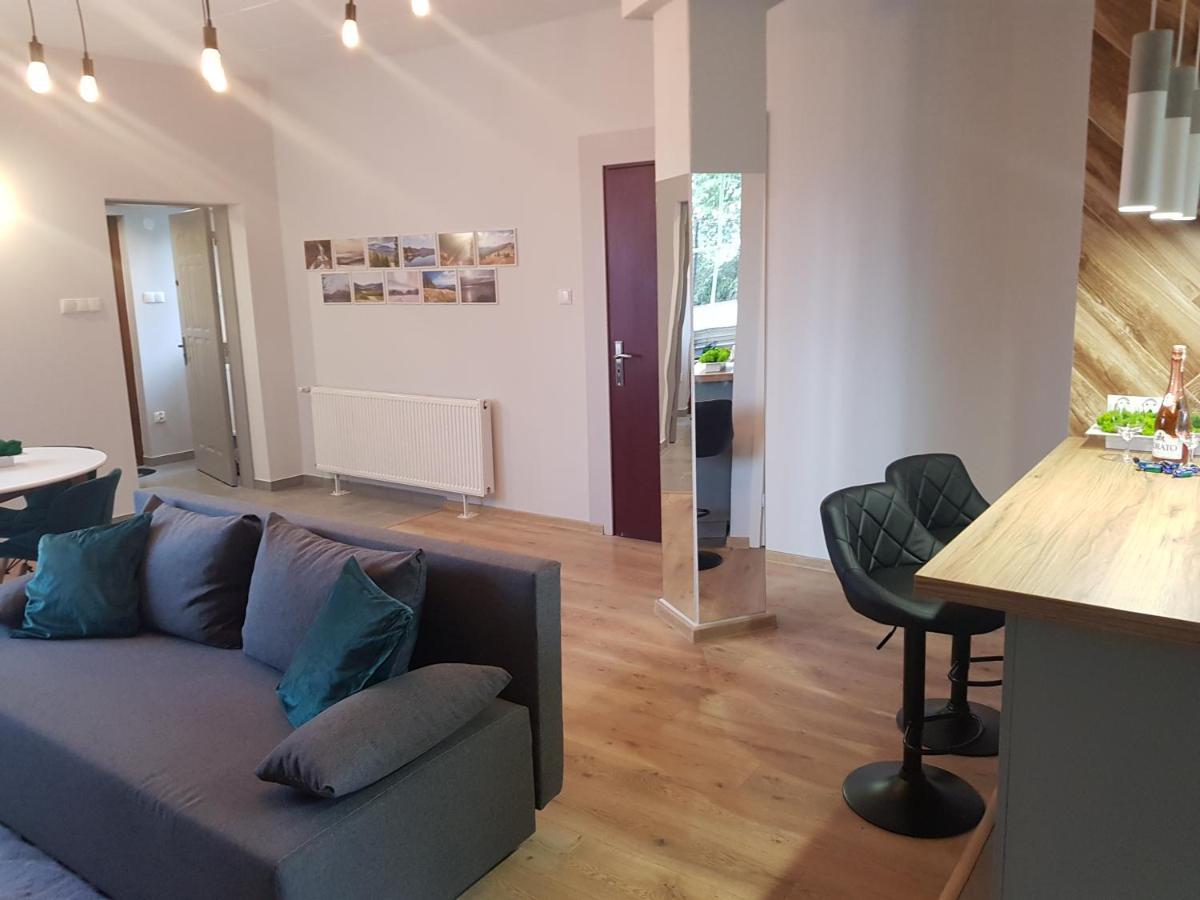 Pietrzykowice  Apartamenty Paszkowka מראה חיצוני תמונה