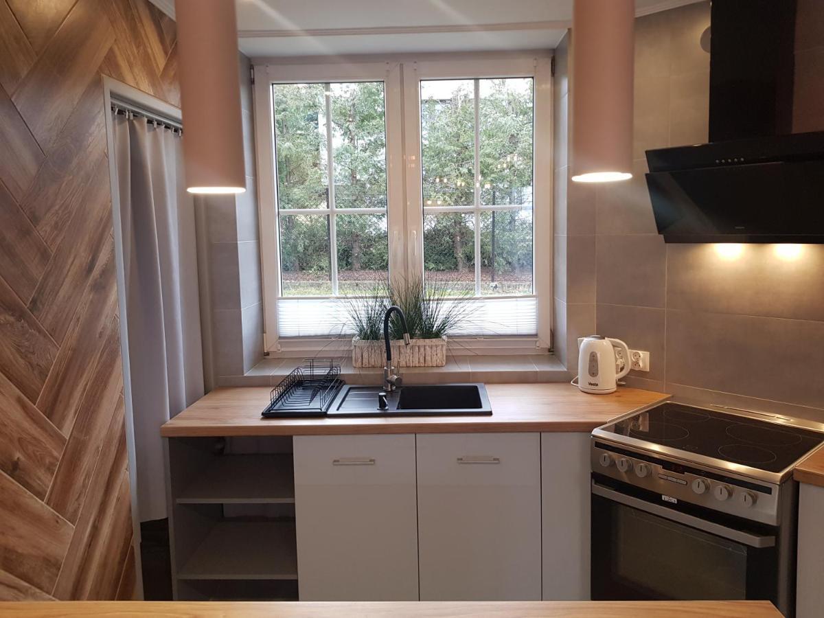 Pietrzykowice  Apartamenty Paszkowka מראה חיצוני תמונה