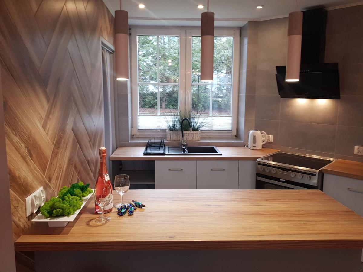 Pietrzykowice  Apartamenty Paszkowka מראה חיצוני תמונה