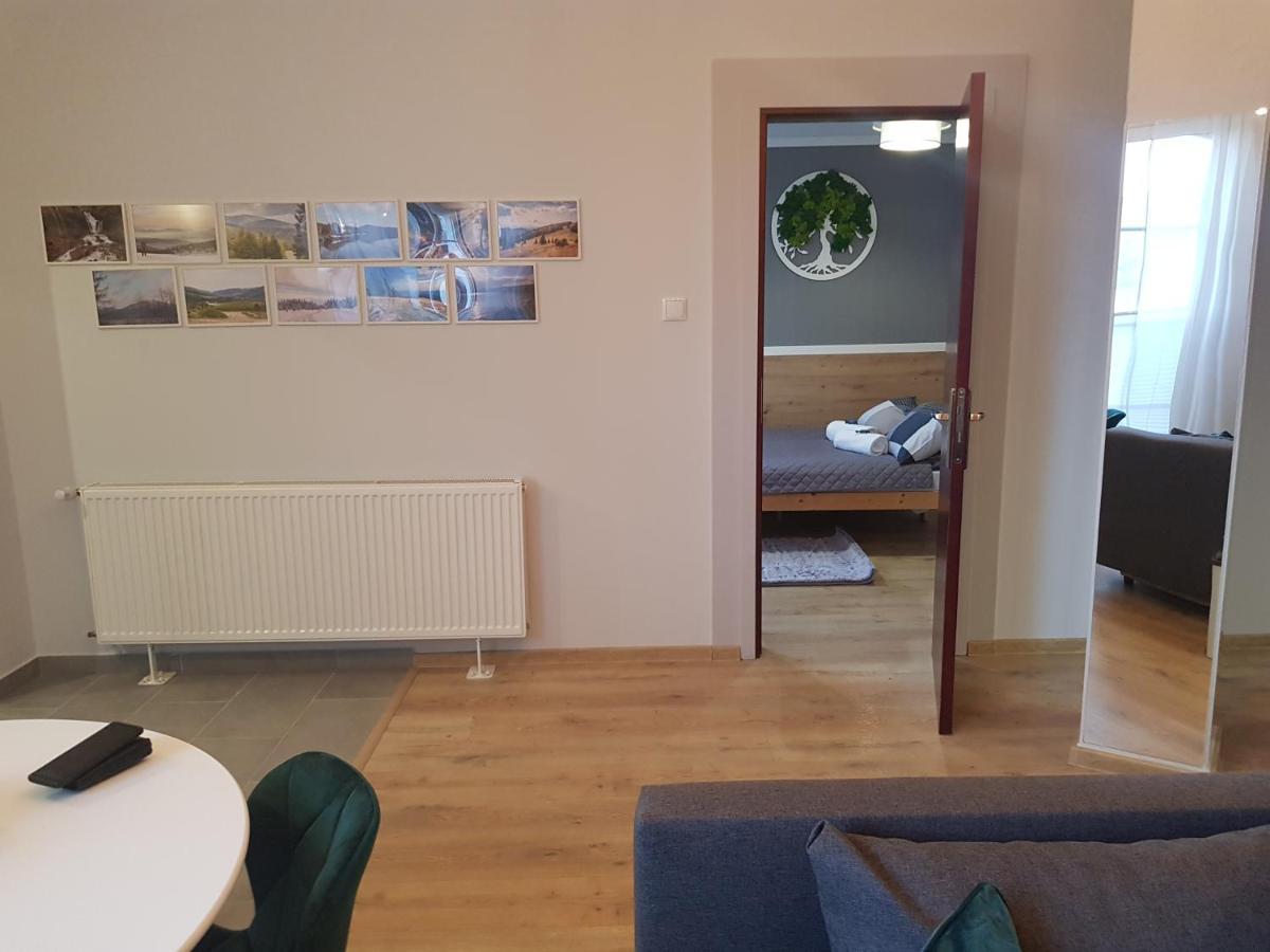 Pietrzykowice  Apartamenty Paszkowka מראה חיצוני תמונה
