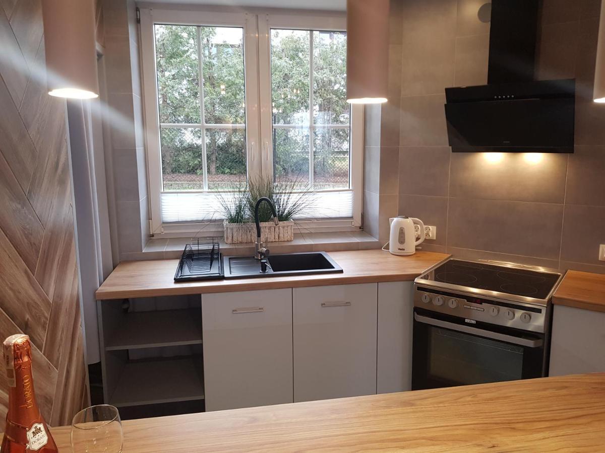 Pietrzykowice  Apartamenty Paszkowka מראה חיצוני תמונה