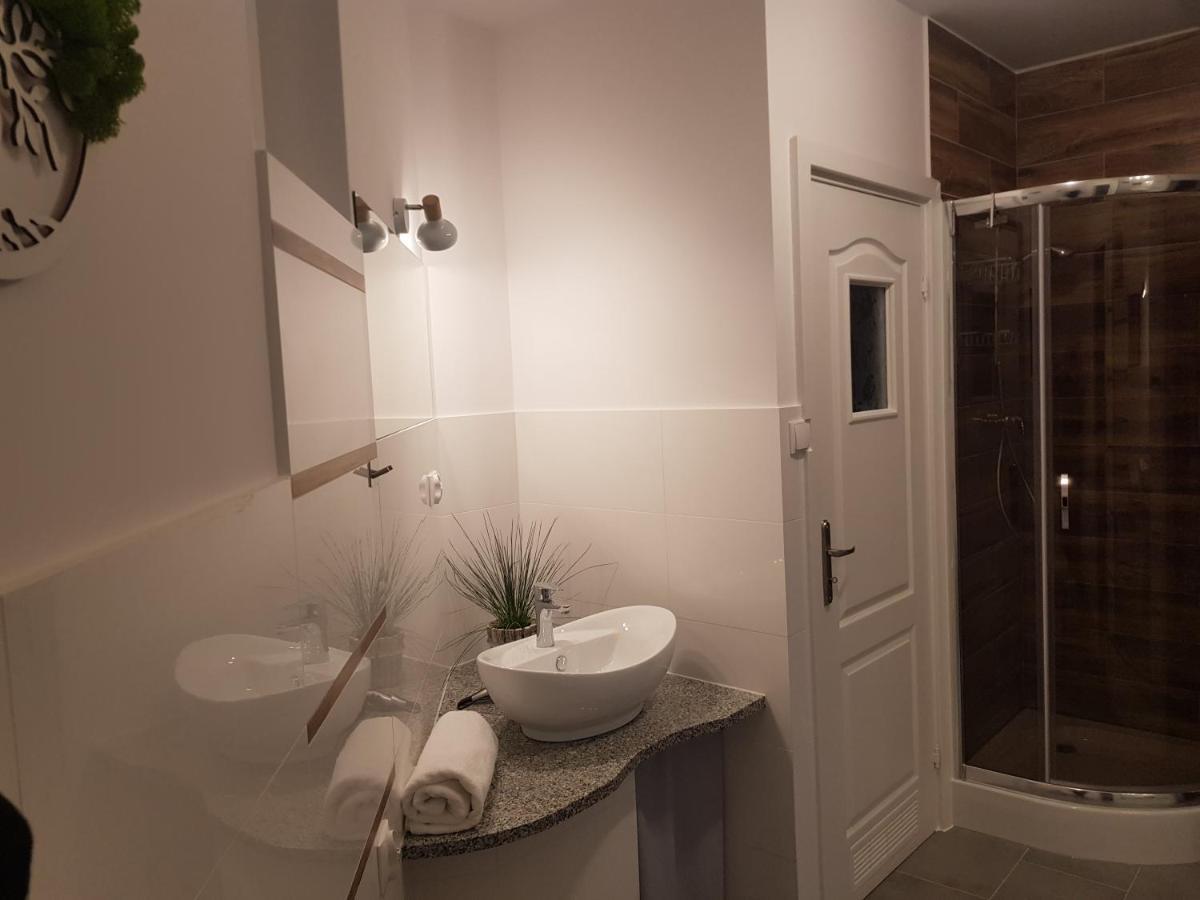 Pietrzykowice  Apartamenty Paszkowka מראה חיצוני תמונה