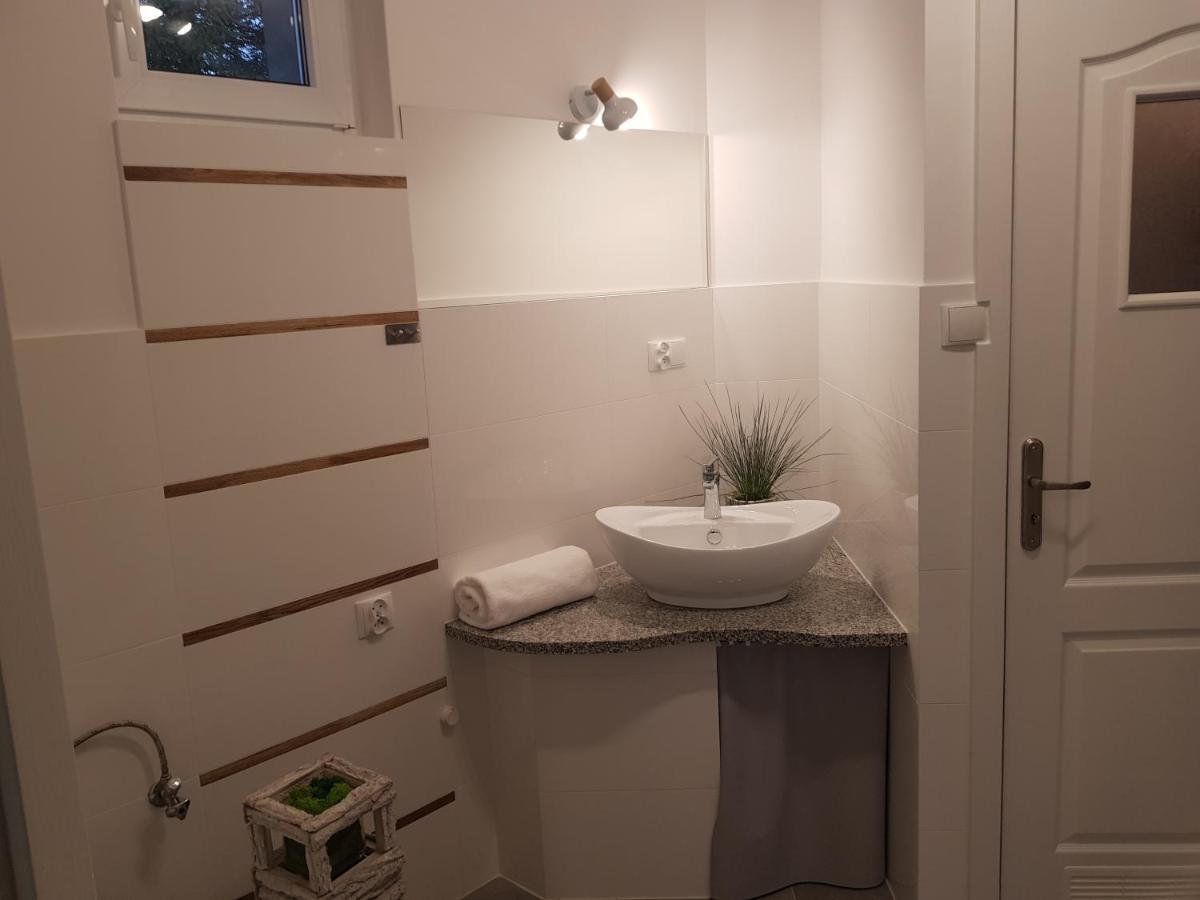 Pietrzykowice  Apartamenty Paszkowka מראה חיצוני תמונה