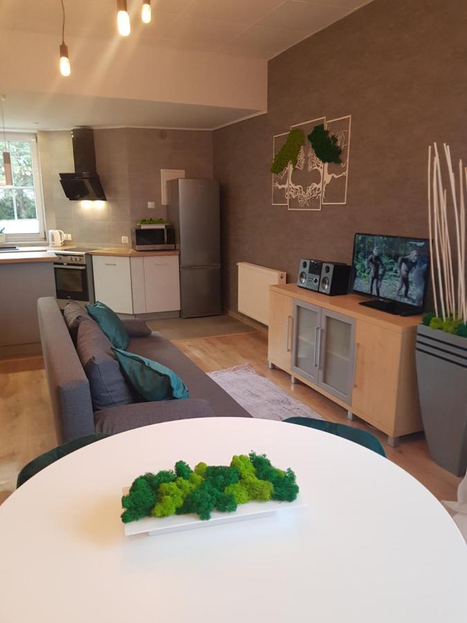 Pietrzykowice  Apartamenty Paszkowka מראה חיצוני תמונה