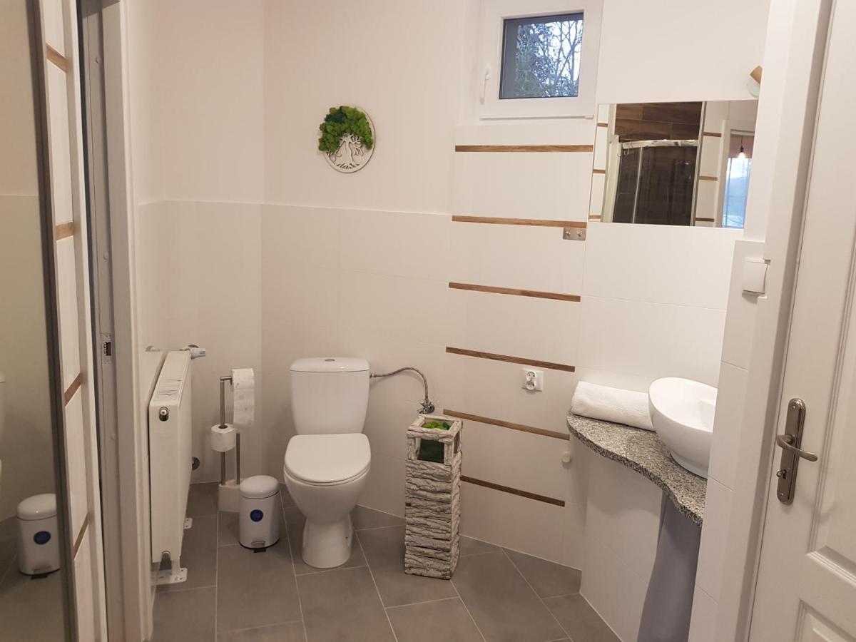 Pietrzykowice  Apartamenty Paszkowka מראה חיצוני תמונה