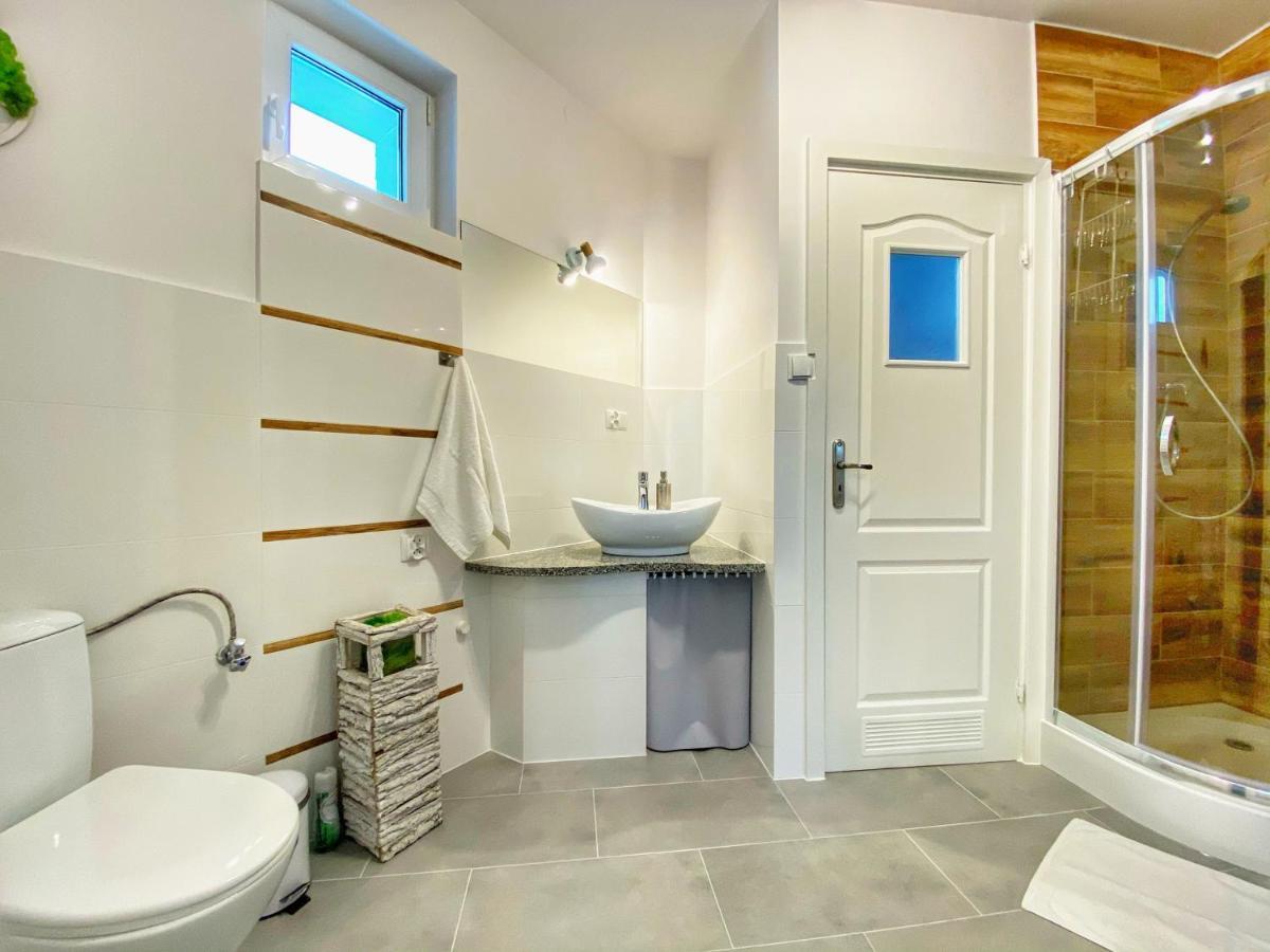 Pietrzykowice  Apartamenty Paszkowka מראה חיצוני תמונה