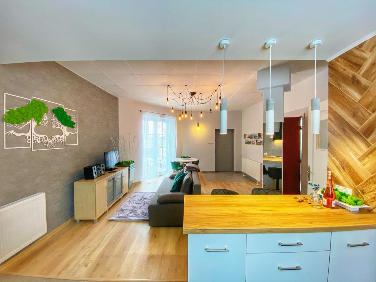 Pietrzykowice  Apartamenty Paszkowka מראה חיצוני תמונה