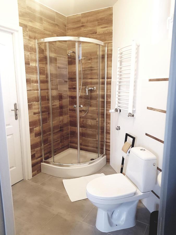 Pietrzykowice  Apartamenty Paszkowka מראה חיצוני תמונה