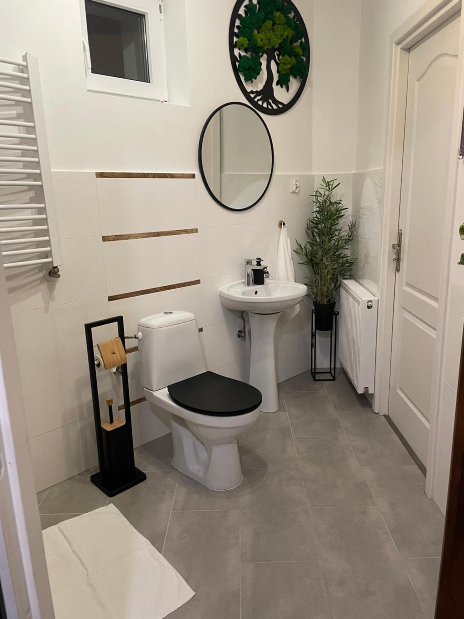 Pietrzykowice  Apartamenty Paszkowka מראה חיצוני תמונה