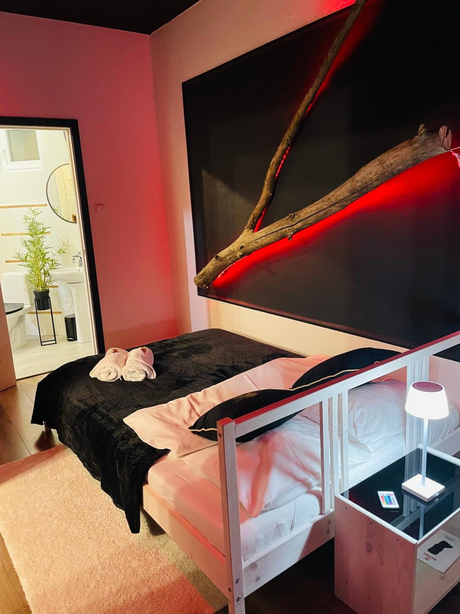 Pietrzykowice  Apartamenty Paszkowka מראה חיצוני תמונה